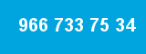 966 733 75 34 966 733 75 34
